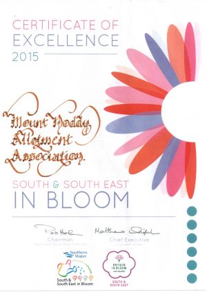 Certificate of Excellence 2015